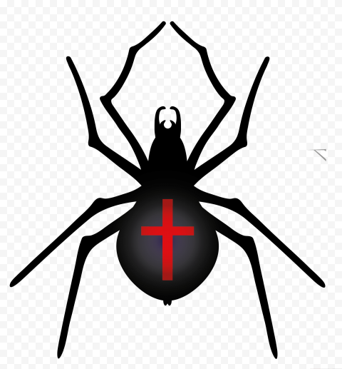 Halloween Spider PNG Transparent Image