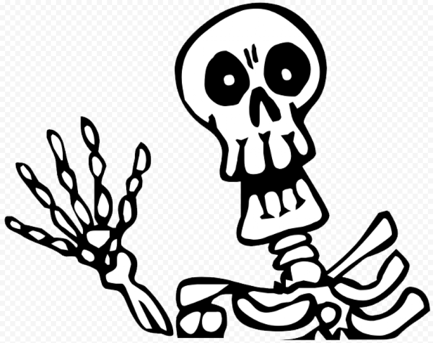 Halloween Skeleton PNG Picture