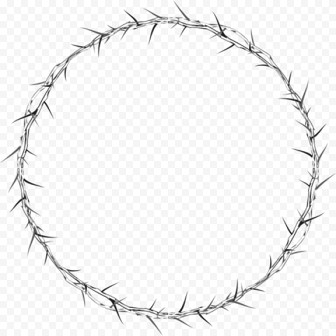Thorns PNG Image
