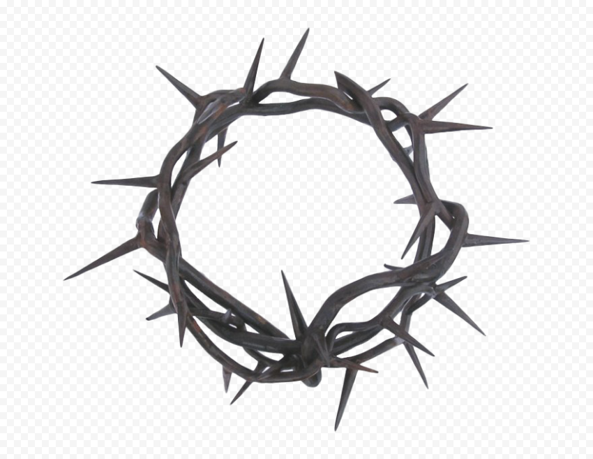 Thorns PNG Photos