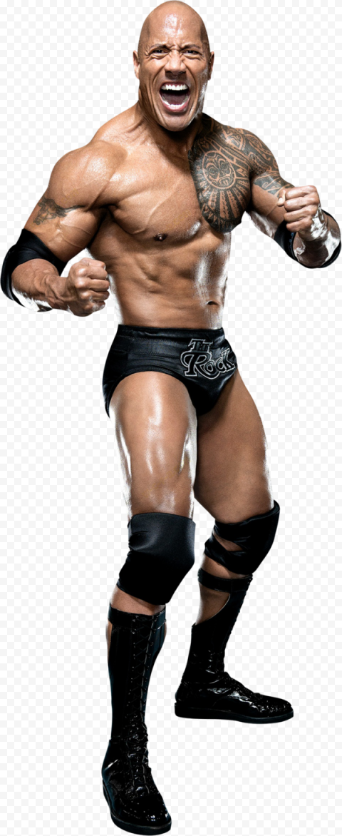 The Rock Transparent PNG