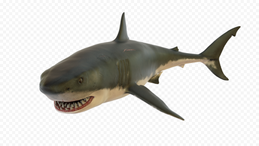 Aquatic Megalodon Shark Transparent PNG