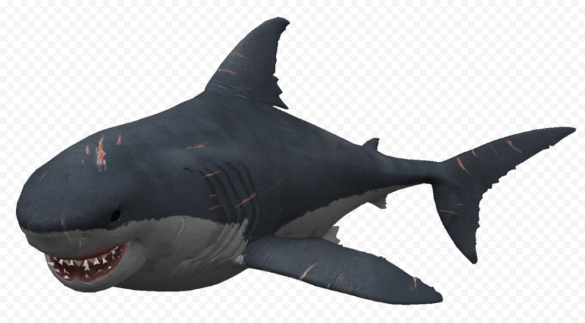 Aquatic Megalodon Shark PNG Image