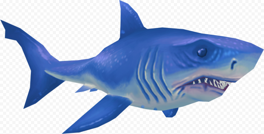 Blue Real Shark PNG Photos