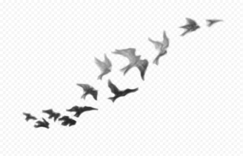 Demi Lovato Birds Tattoo PNG