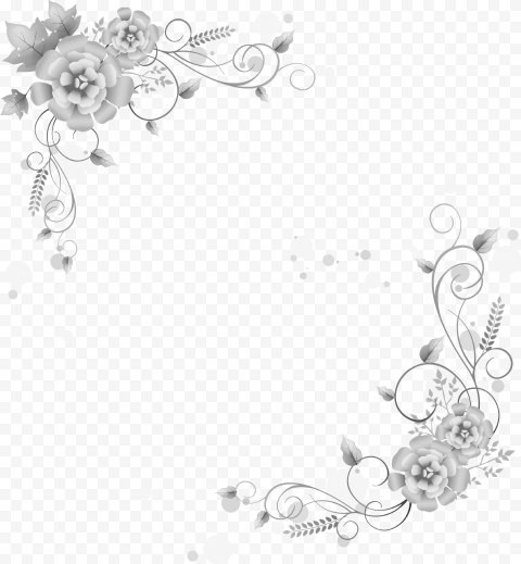 Floral Border PNG Image