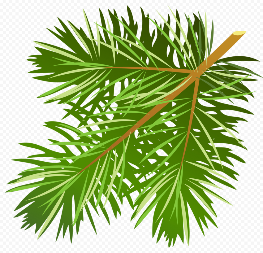 Christmas Branches Background PNG