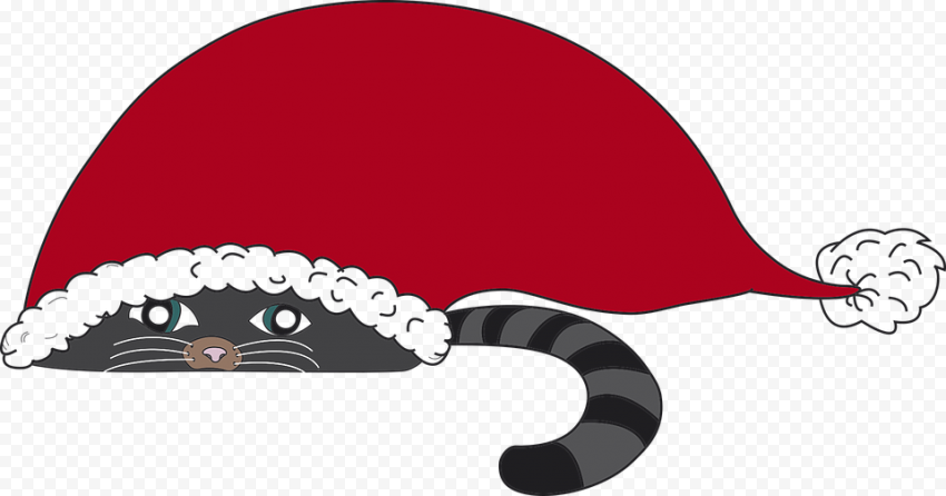 Cat Christmas Transparent PNG