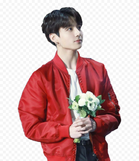 Singer Jungkook PNG Image