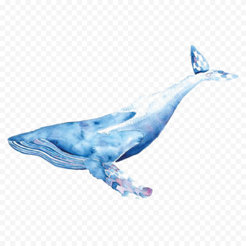 Blue whale illustration, Blue whale Watercolor painting Drawing Illustration, Watercolor Whale, blue, watercolor Leaves, ink