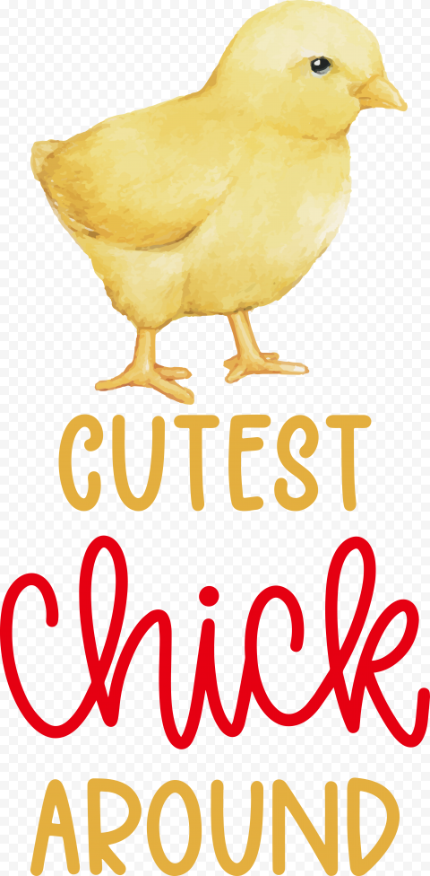 Cutest chick