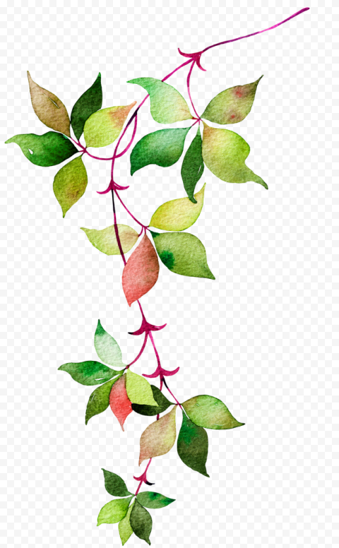 Flower Euclidean Icon, Watercolor leaves, green and red leaf, watercolor Painting, watercolor Leaves, leaf