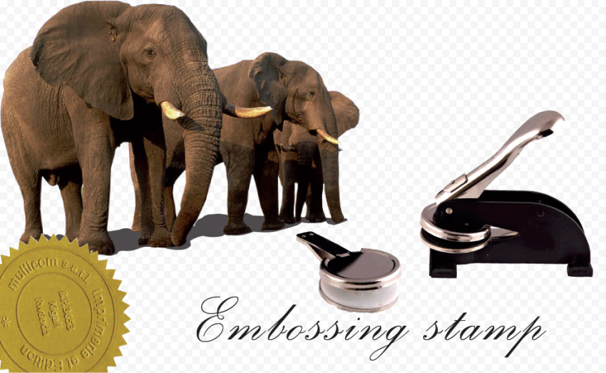 African elephant Asian elephant World Elephant Day Elephants in the Wild Elephantidae, asia, mammal, fauna, wildlife