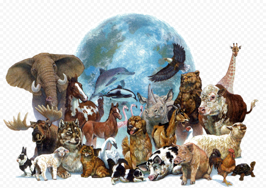World Animal Day Earth Wildlife Camel, earth, pet, fauna, animal