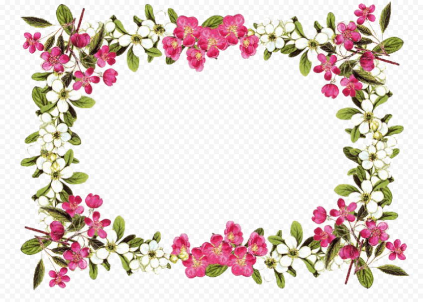 flowers borders