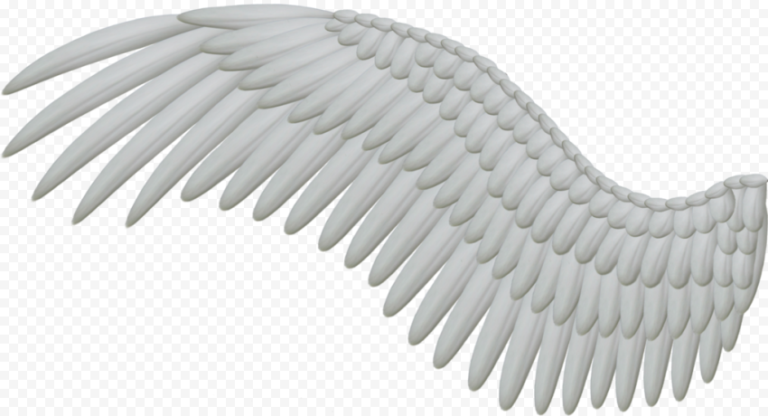 Angel wing Feather, Wings, angle, computer Graphics, black And White