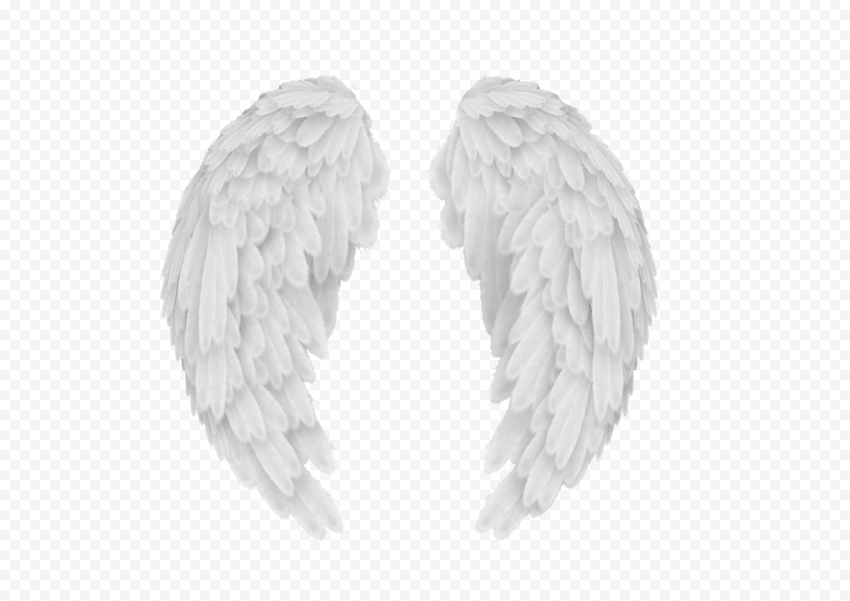 Angel wings, The Dwindling Fire of a Detective Black and white Pattern, White angel wings, computer, wings, symmetry