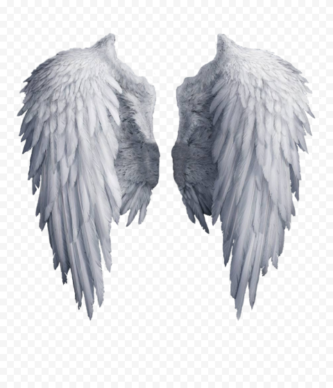 Archangel wing, Angel Wing, White angel wings, wings, sticker, feather