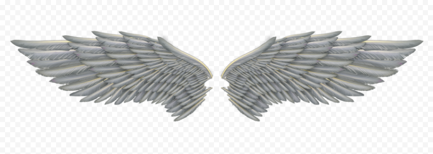 White wings graphics,, Angel Wings, feather, angel, angel Wings