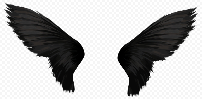 Wing graphy, Wings, angle, tail, desktop Wallpaper