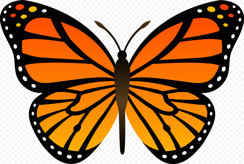 Monarch butterfly Insect, Orange butterfly, butterflies free, brush Footed Butterfly, insects, symmetry