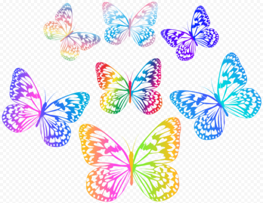 decorative multlored butterflies