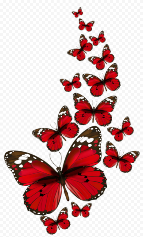 Download red butterflies vector clipart