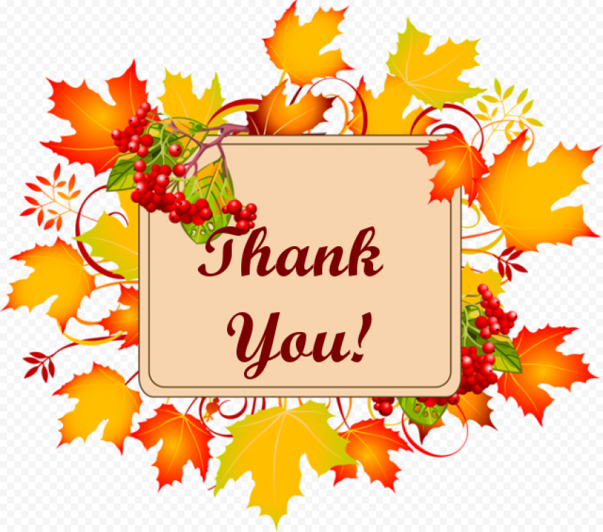 Thank you text with flower, Autumn, thank you, food, leaf, text