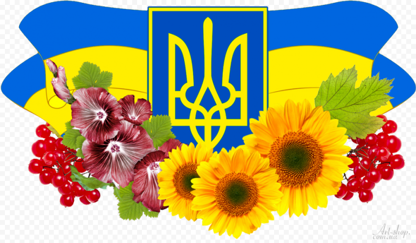 Flag of Ukraine Coat of arms of Ukraine Государственные символы Украины, Flag, flower Arranging, flag, sunflower