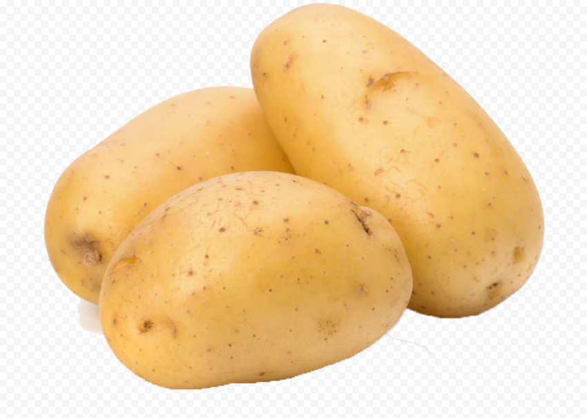 Mashed potato French fries Potato wedges Baked potato Potato chip, vegetable, food, baking, tomato