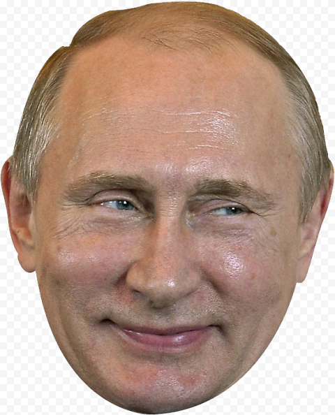 Vladimir Putin, Vladimir Putin T shirt President of Russia Hoodie, Vladimir Putin, celebrities, tshirt, face