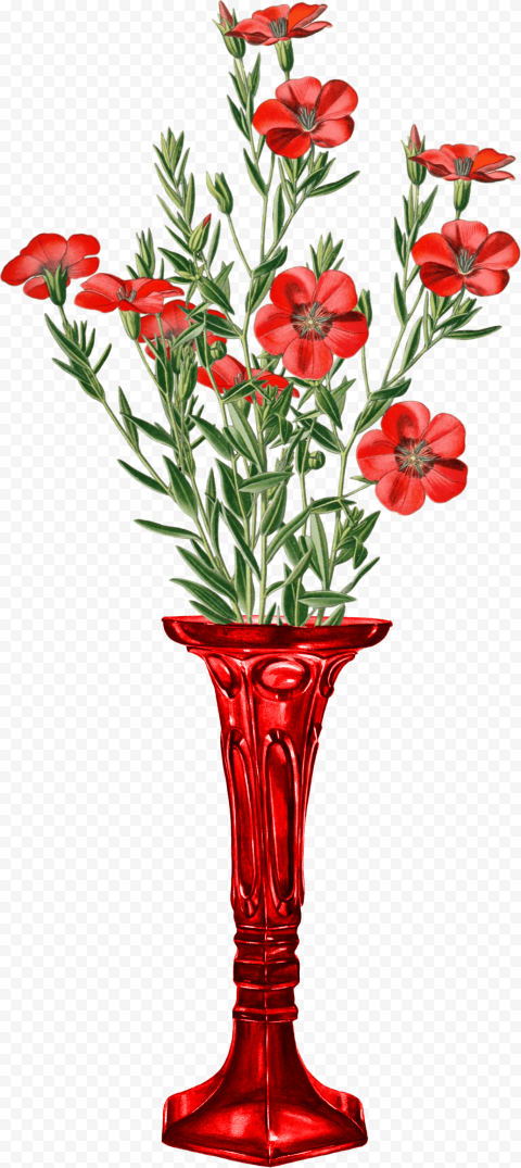 Glass Vase, Ornament, Bloom, Scrapbook