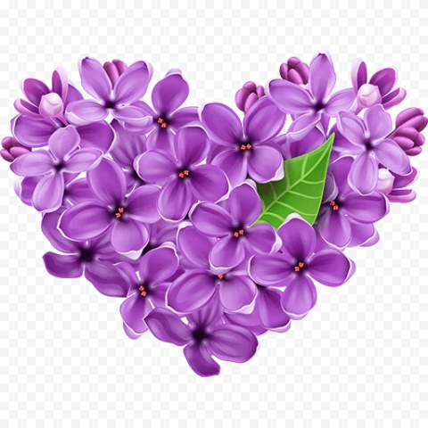 Rose Heart PNG Photo