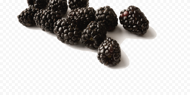 black raspberries free download