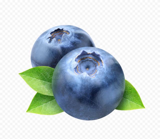 blueberry photos