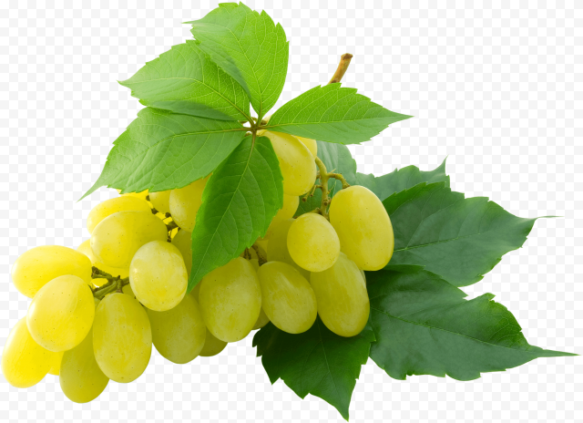 grape png image