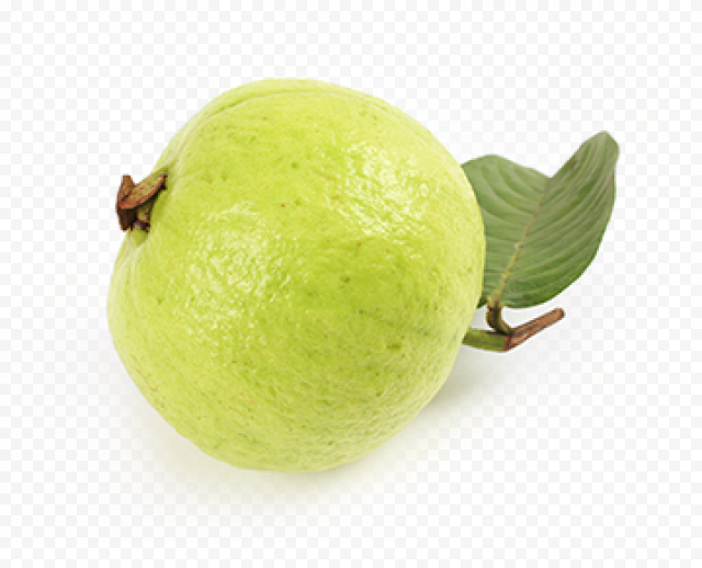 guava free download png