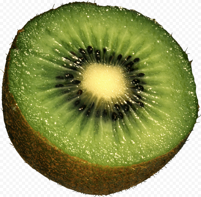kiwi png image fruit kiwi png pictures download 2