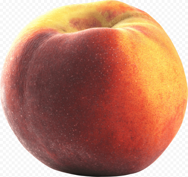 peach png image 1