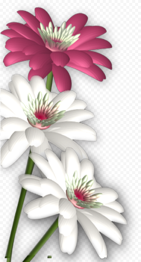 massages clipart abstract flower photoshop flower background png