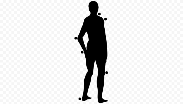 Vector Human Body PNG Image