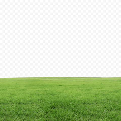 Field of grass, Lawn, Grass, landscape, computer Wallpaper, grass png