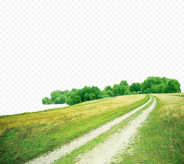 Green grass road, blue, landscape, computer Wallpaper png