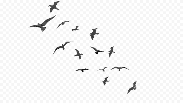 Flock of Birds Download PNG Image