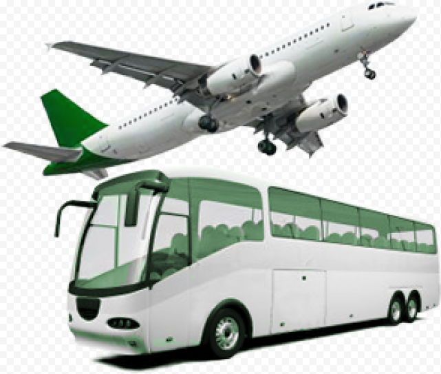 Travel Insurance PNG Picture