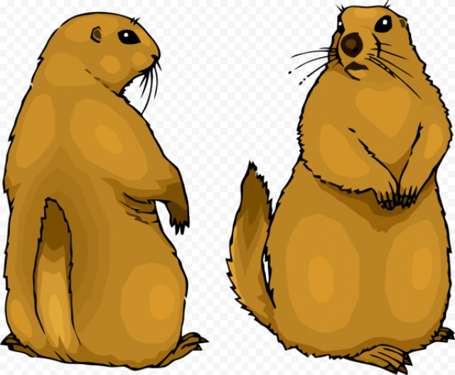 groundhog day fur seal gopher for carol