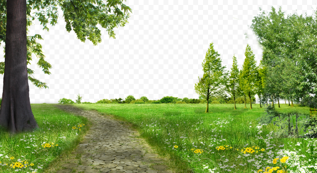 Pathway surrounded by green field and bed of flowers, Gratis Tree, Park Meadows Free trees to pull material, free Logo Design Template, tree Branch, landscape png