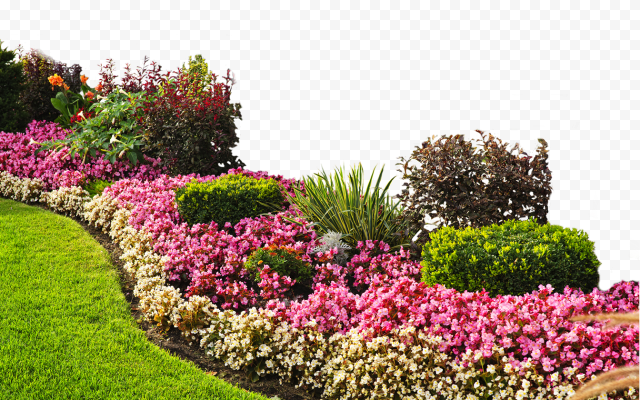Pink and beige bed of flowers, Flower garden Landscaping Raised bed gardening, landscape, landscape, grass, plantation png