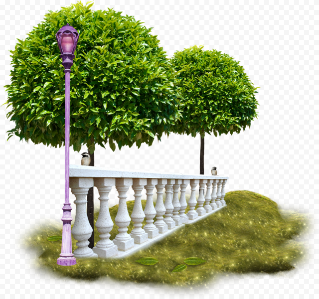 Flower Garden PNG Free Download
