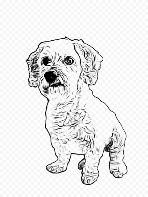Cute Pet PNG Cutout